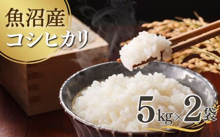 【先行予約】令和7年産新米 魚沼産コシヒカリ 5kg×2袋 吉兆楽 コシヒカリ コシヒカリ コシヒカリ