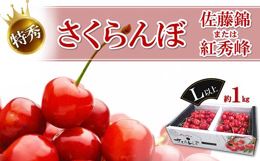 【令和7年産先行予約】 さくらんぼ 約1kg (特秀 L以上) 《令和7年6月中旬～発送》 『マルエ青果』 先行予約 サクランボ 果物 フルーツ 山形県 南陽市 [1115]