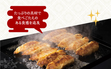 【3回定期便】【化粧箱】長崎ぎょうざと三代目肉まん詰合せ 岩崎本舗 [EAB073] 岩崎本舗 肉まん 定期 定期便