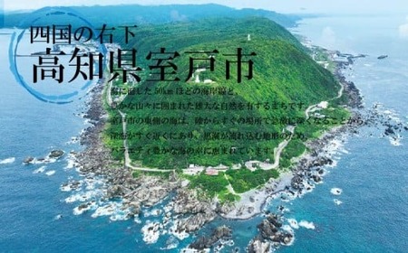 徳さんのネギトロ ねぎとろ 200g yj024