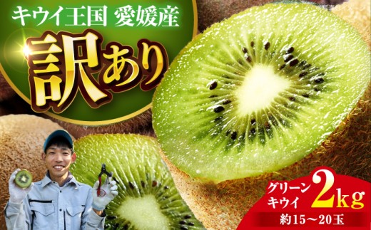 キウイ 【先行予約】【2026年11月中旬から順次発送】【訳あり】 グリーンキウイ 2kg （約15玉から20玉） 栄養たっぷり！ 家庭用 旬のフルーツ 美味しい おいしい 甘い スイーツ デザート ビタミン豊富 2kg 2キロ 愛媛県大洲市/玉川農園 [AGBC011] 先行予約 キウイ キウイフルーツ 果物 くだもの 愛媛県産 大洲市産 おすすめ 人気 お取り寄せ 送料無料 贈答 ギフト