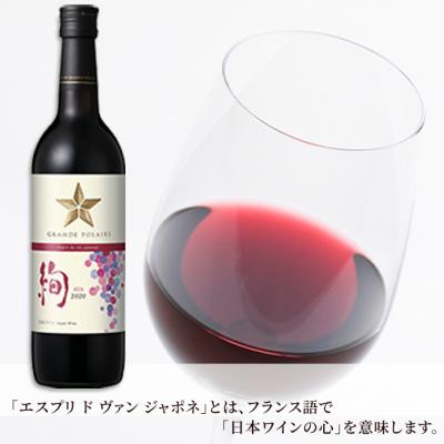 ふるさと納税 赤磐市 エスプリ ド ヴァン ジャポネ 絢 -AYA- 12本(1本 720ml)[NO5765-0932] |  | 01