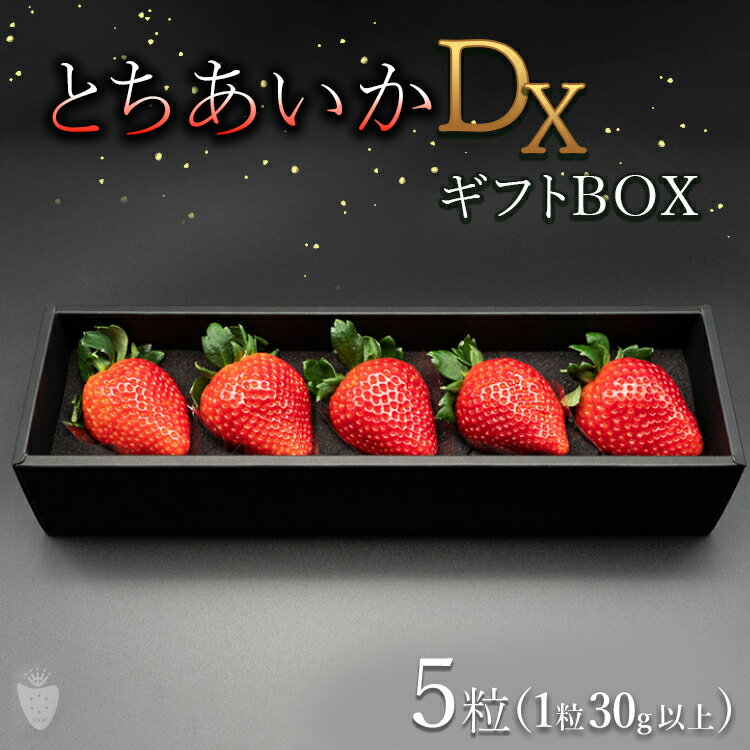 【ふるさと納税】【先行予約】【数量限定】とちあいかDX ギフトBOX（5粒）｜いちご イチゴ 苺 先行予約 栃木県 果物 くだもの フルーツ とちあいか 新鮮 贈答 ギフト ※2025年11月上旬頃より順次発送予定