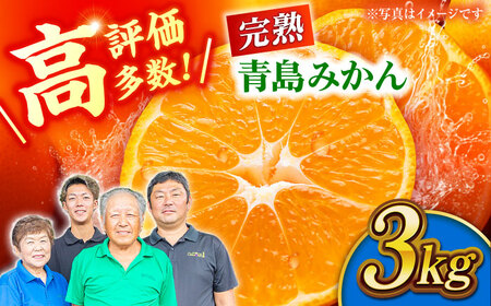 【先行予約】完熟 青島 みかん 約3kg【合同会社 社方園】九州産みかん ミカン 柑橘  国産  山鹿 果物 フルーツ [ZBZ011]