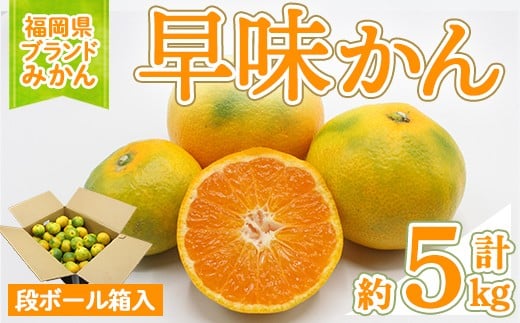 ＜先行予約受付中！2025年9月中旬～10月下旬に順次発送予定＞福岡ブランドみかん 早味かん (約計5kg) みかん ミカン フルーツ 果物 くだもの 柑橘 福岡限定 オリジナルブランド ＜離島配送不可＞【ksg1760】【農産物直売所ほたるの里】