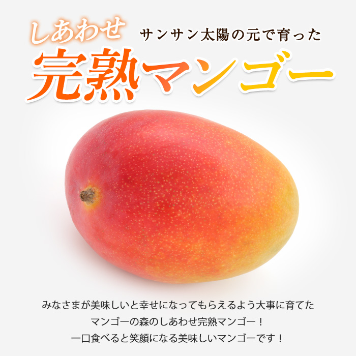 【2026年 発送】しあわせ完熟マンゴー3〜6玉入り(マンゴーの森/044-1768) マンゴー フルーツ 果物 旬 夏 指宿 いぶすき 鹿児島  完熟  お供え 御供 ギフト 贈り物 プレゼント グ