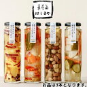 【ふるさと納税】奥くらしき 暮らしのピクルス アソート 3本セット　【 野菜加工品 加工食品 酢漬け 和風 洋風 フルーツ 3種類 さっぱり 前菜 つまみ 】