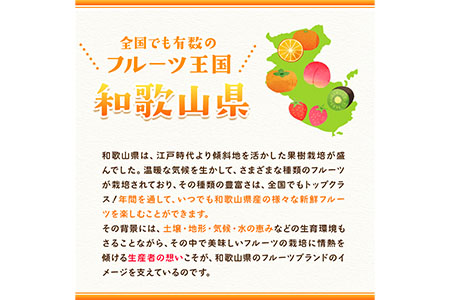 【先行予約】八朔 約10kg(3L-Lサイズ)JAわかやま 紀の里地域本部 《2027年1月上旬-3月末頃出荷》 和歌山県 紀の川市 果物 フルーツ 柑橘 はっさく
