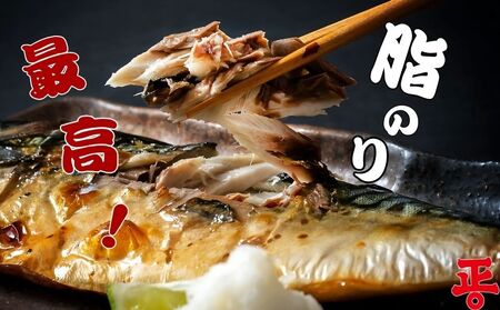 さば文化干し 10枚 ショウマル下谷 鯖 鯖 鯖 鯖 鯖