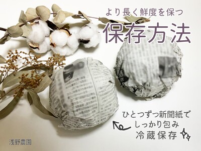 訳あり サンフジ 丸かじりSSサイズ 約5kg 【2026年先行予約】  | 浅野農園