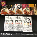 【ふるさと納税】九州のカレーセット(レトルトカレー8食入り)カレー カレーライス ビーフカレー ポークカレー チキンカレー 牛すじ レトルト【B-177】【1204レビューCP】