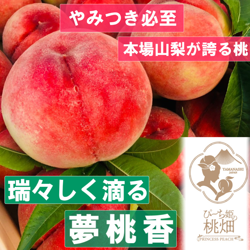 【瑞々しく滴る夢桃香ブランド】果汁たっぷり人気品種 約2kg【2025年発送】（PMK）D4-111