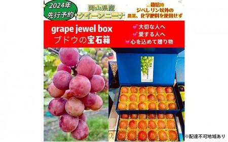 ぶどう 2026年  クイーンニーナ 大粒のみ 36粒 ＪＥＷＥＬＢＯＸ ギフト 贈り物 岡山 国産 果物 フルーツ