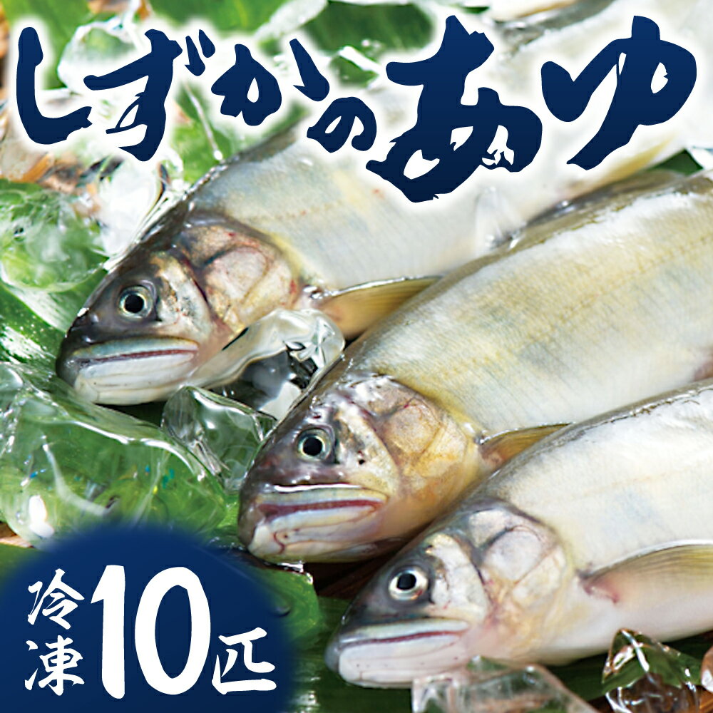 【ふるさと納税】こだわり生育 しずかのあゆ 冷凍 10尾セット 鮎 アユ 冷凍 魚 魚介 川魚 塩焼き 甘露煮 生あゆ 子持ち鮎