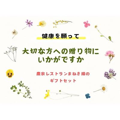 ふるさと納税 宗像市 【一週間以内に発送】〈ギフト〉ごはんセット【アグリCATS】_HA1846 |  | 01