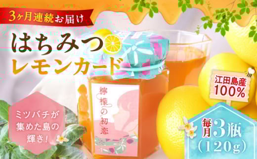 【全3回定期便】江田島産100％ はちみつ レモンカード『檸檬の初恋』 120g×3本セット れもん ハチミツ ハニー 蜂蜜 広島 江田島市/はつはな果蜂園 [XCD009] ハチミツ 国産蜂蜜 国産はちみつ 蜜 蜂蜜 はちみつ 人気 ジャム スプレッド クリーム バター パン 食パン ホットケーキ ギフト お取り寄せ