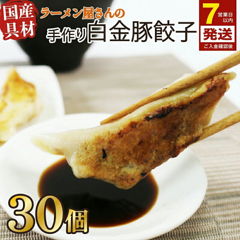 【ふるさと納税】 【スピード発送】 餃子 30個 6個×5パック 白金豚 ブランド豚 簡単調理 ご飯のお供 惣菜 お弁当 冷凍食品 簡単 小分け 手造り てづくり 黒船 岩手県 三陸 大船渡市