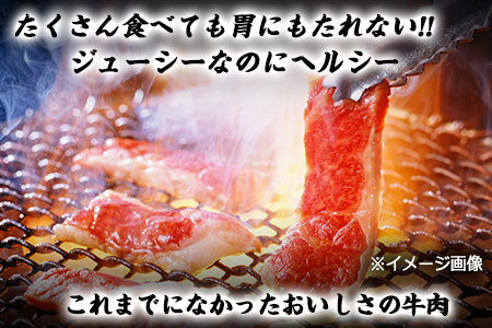 あか牛 焼き肉用 450g 肉のみやべ 赤牛《120日以内に出荷予定(土日祝除く)》