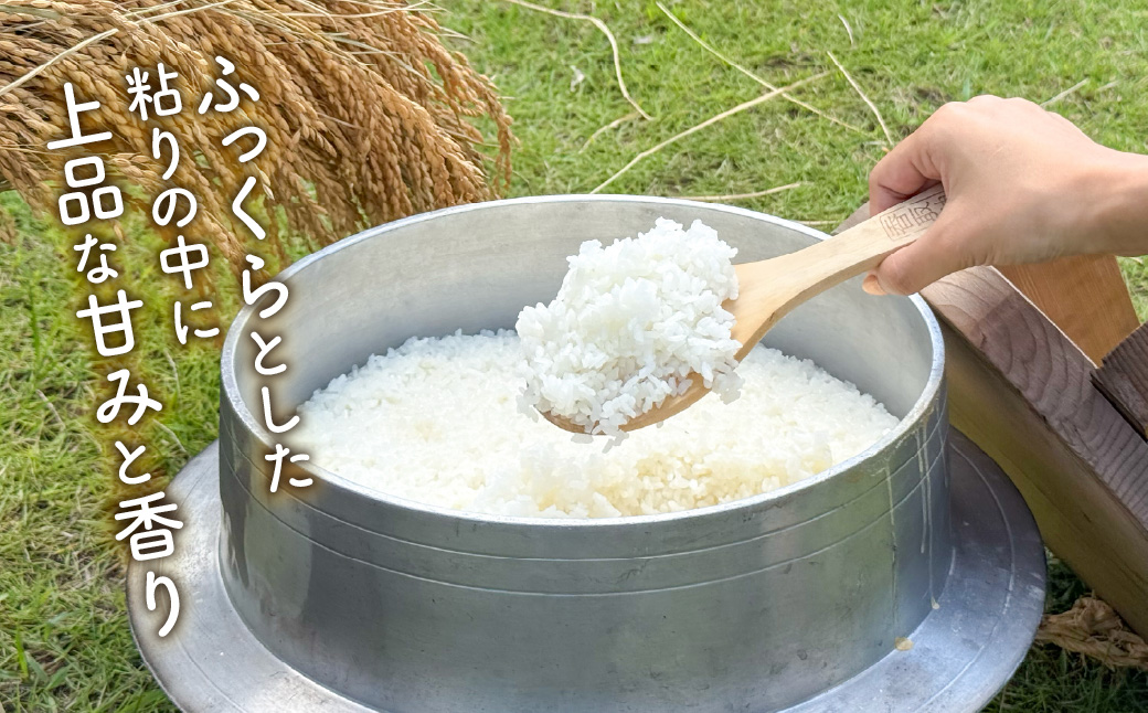 山口さんちの【令和7年産】多古米コシヒカリ(精米)5kg【配送不可地域：離島・沖縄県】 TAKF043
