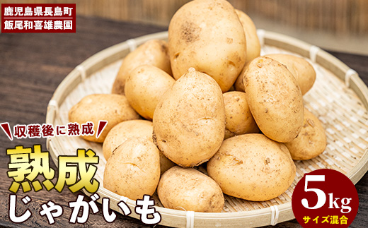 和喜雄さんといつみさんの熟成じゃがいも5kg【飯尾和喜雄農園】iio-1015