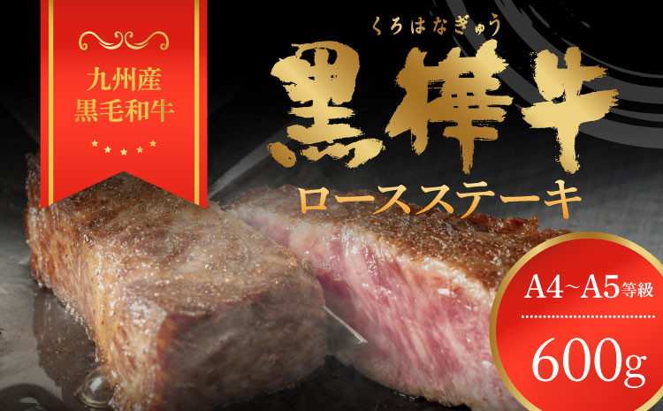 
            ステーキ 牛肉 A4~A5 計600g （200g×3）杉本本店 黒樺牛 レビューキャンペーン
          