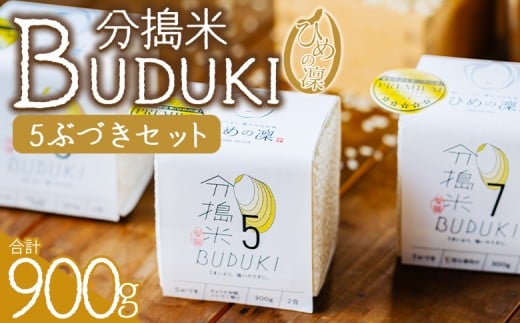＜分搗米「BUDUKI」ひめの凜 「5ぶづき」2合入り×3個（900g）＞ ひめのりん 分づき米 ぶづき米 ぶずき米 お米 コメ こめ 選べる 5分づき 玄米 精米 ご飯 もとき農園 愛媛県 西予市【常温】『令和7年11月中旬より順次発送予定』