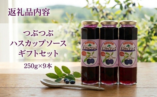＜北の大地の恵み＞つぶつぶハスカップソース　ギフトセット　250g×9本【1900367】