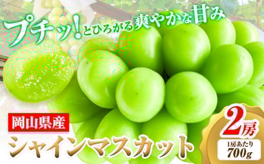 【2026年先行予約】シャインマスカット 岡山県産 2房 (1房当たり700g 前後)《2026年9月上旬-9月中旬頃出荷》ひらた農園 マスカット 送料無料 岡山県 浅口市 シャインマスカット ぶどう フルーツ 果物 贈り物 ギフト 国産 くだもの 果物 青果物