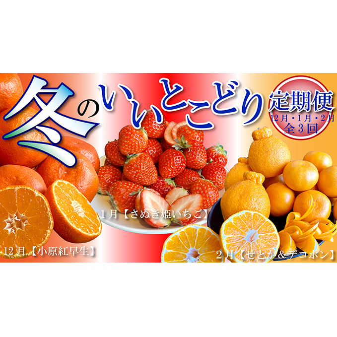 冬のいいとこどり定期便【全3回】 果物 詰合せ セット フルーツ 果物類 いちご 苺 イチゴ みかん 柑橘類
