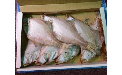 【１日お届け】砂時計の町名産干エテかれい（7枚）
