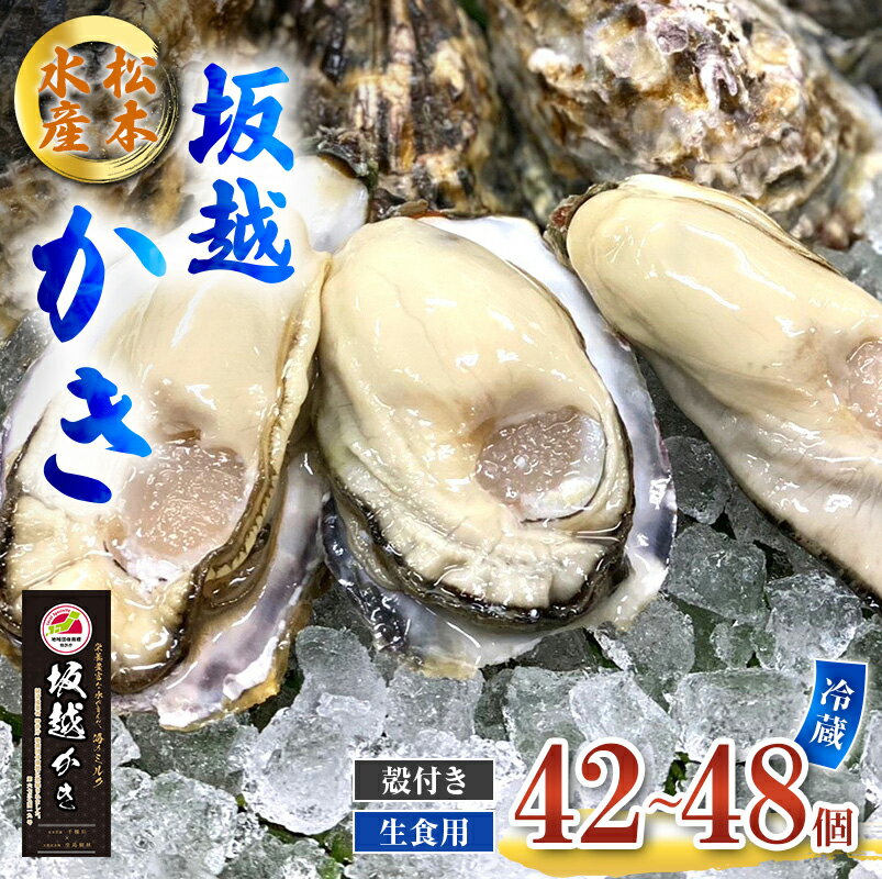 【ふるさと納税】牡蠣 生食用 坂越かき 殻付き 42～48個 松本水産 [ 生牡蠣 真牡蠣 かき カキ 冬牡蠣 ] 魚貝類 海鮮 海のミルク 身が大きい 濃厚 　お届け：2026年1月中旬～4月まで