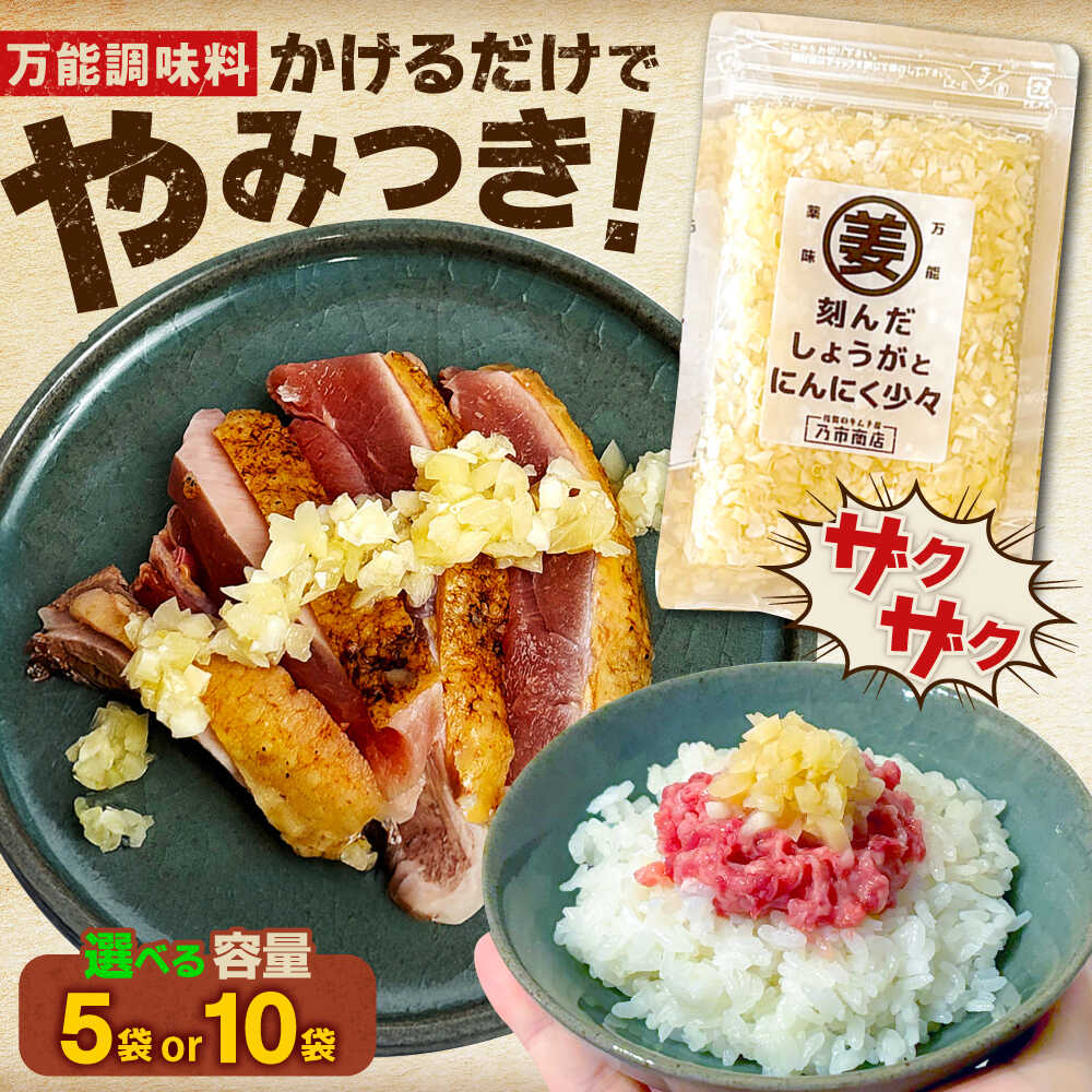 【ふるさと納税】【選べる内容量】刻んだしょうがとにんにく少々（5or10袋） / 薬味 調味料 馬刺し たたき / 佐賀県 / 有限会社乃市商店 [41AHDB003]