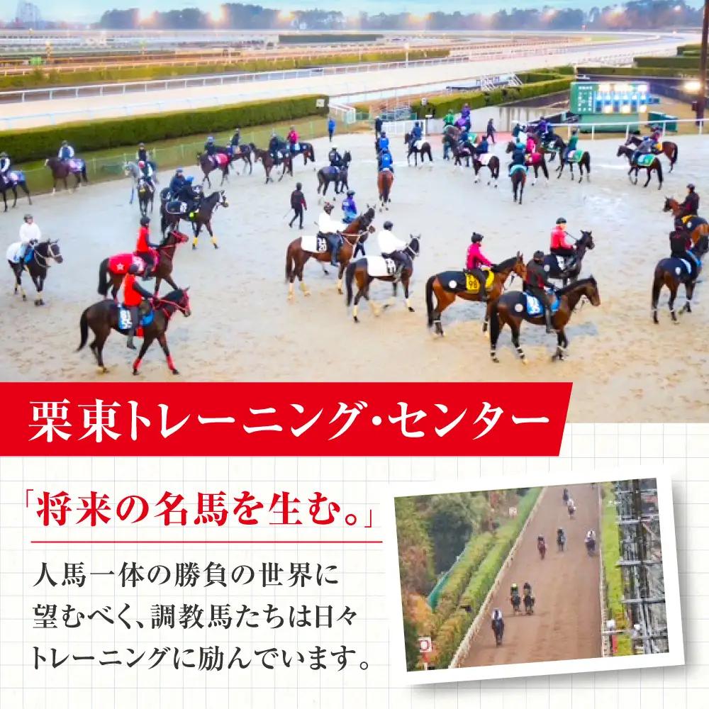 【JRA/日本中央競馬会】調教用ゼッケンと調教師サイン色紙 （栗東カラー）/ 競馬 競走馬 馬 競馬グッズ 騎手 JRA トレセン ウマ / 栗東市 / 栗東市役所[BIAM006]