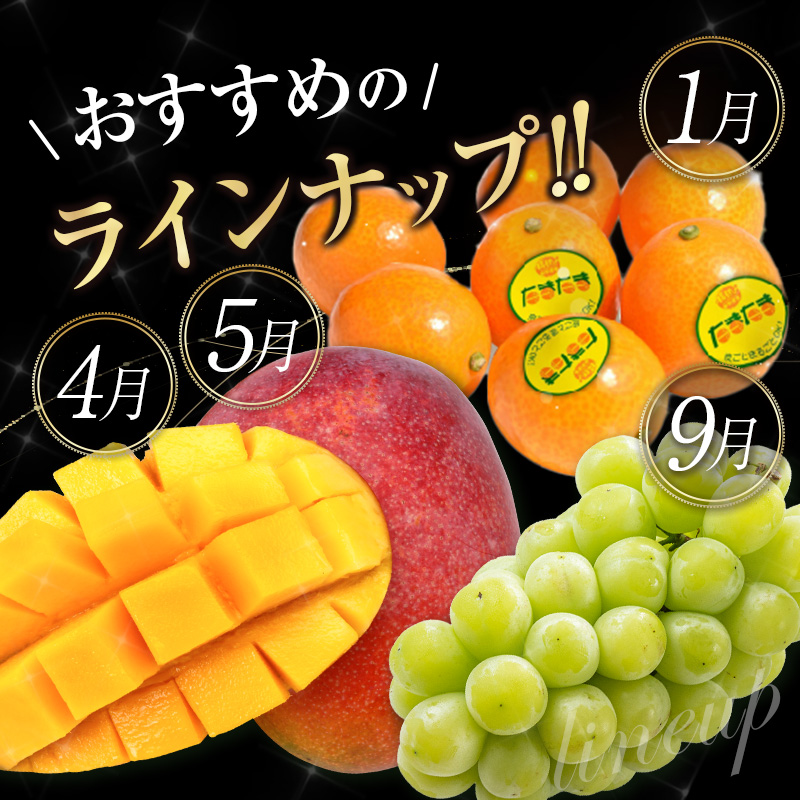 旬のプレミアムフルーツ定期便 12ヵ月コース【F114-25】_イメージ4
