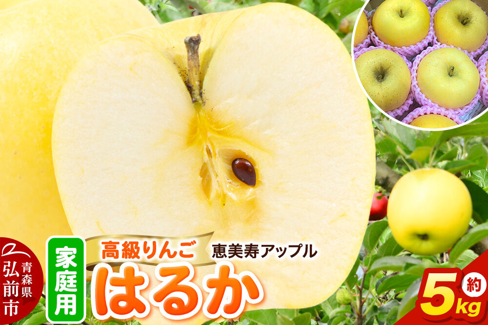 【26年12月発送】りんご【高級りんご・はるか】はるか【家庭用】約5kg 先行受付 青森県 弘前市 果物 フルーツ 林檎 リンゴ くだもの 不揃い 規格外 [先行予約 産地直送 アップル おいしい 果