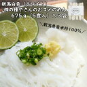 【ふるさと納税】新潟白色（ホワイト）／柿の種屋さんのおコメ のめん 平麺675g×3袋 阿部幸製菓 米粉 12P158