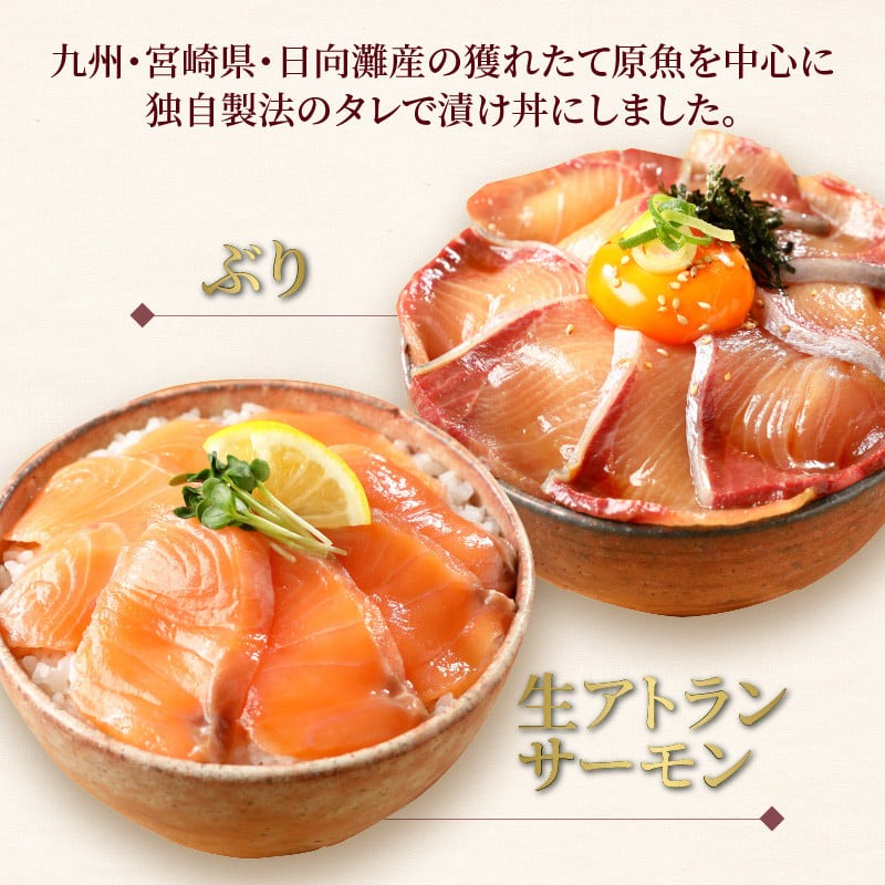 【冷凍】活〆日向灘ぶりと生アトランサーモンの漬け丼2種食べ比べセット100g×8袋 N019-YA949