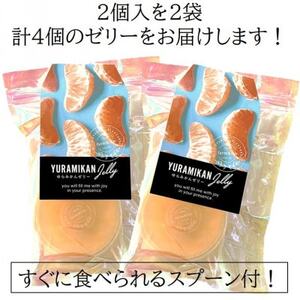 みかんの美味しさそのまま!無水みかんゼリー 2個セット×2袋(スプーン付)【1490597】