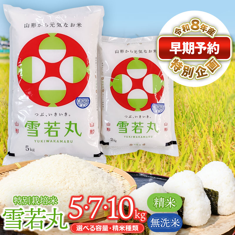 【ふるさと納税】【早期予約特別企画】令和8年産 特別栽培米 雪若丸 【選べる容量・精米種類】5・10kg　［精米 又は 無洗米］ 山形県鶴岡市産 白米 2026年産 先行予約 鶴岡協同ファーム