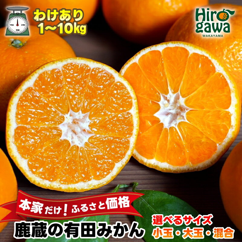 【ふるさと納税】 鹿蔵の 有田 みかん 訳あり 光センサー 選果 / 温州みかん 有田みかん 甘い 家庭用 和歌山 柑橘 2kg 3kg 5kg 10kg 5000円 6000円 ※10月～1月下旬順次発送 ※北海道・沖縄・離島への配送不可 //mandarin