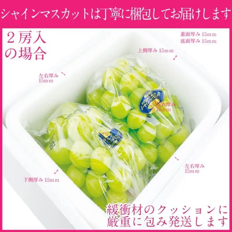 ぶどう 2026年度分 先行予約 【プレミアムシャインマスカット 晴王 2房 約1.4kg】船穂産　赤秀品以上  岡山県産 葡萄 ブドウ ギフト ハレノフルーツ 皮ごと食べる みずみずしい 