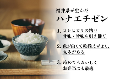 令和7年産 ハナエチゼン 10kg（5kg × 2袋）お米 ごはん