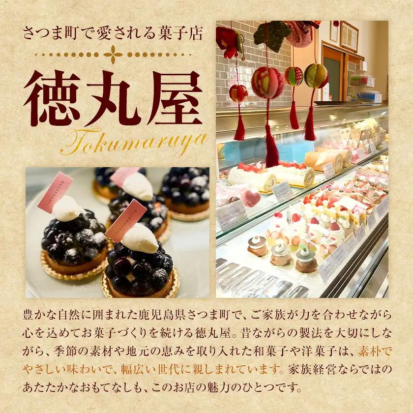 半熟チーズケーキ 計20個(10個×2箱) こだわり半熟チーズ 菓心 徳丸屋《30日以内に出荷予定(土日祝除く)》