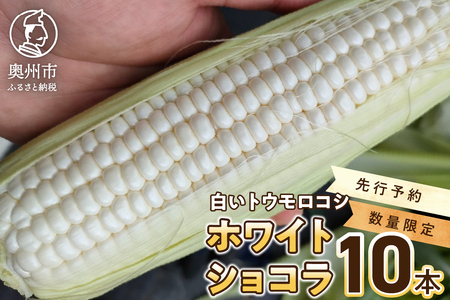 【先行予約】白いとうもろこし ホワイトショコラ 10本【数量限定】2025年6月下旬から出荷 離島配送不可 [T0012]