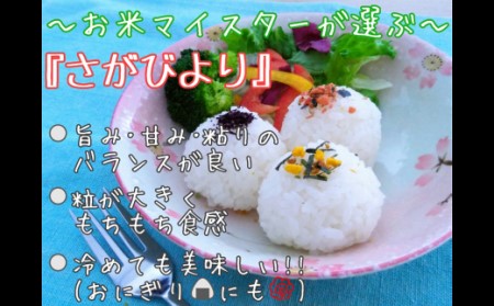 《マイスターセレクト》さがびより【白米】5kg【特A評価】 B563
