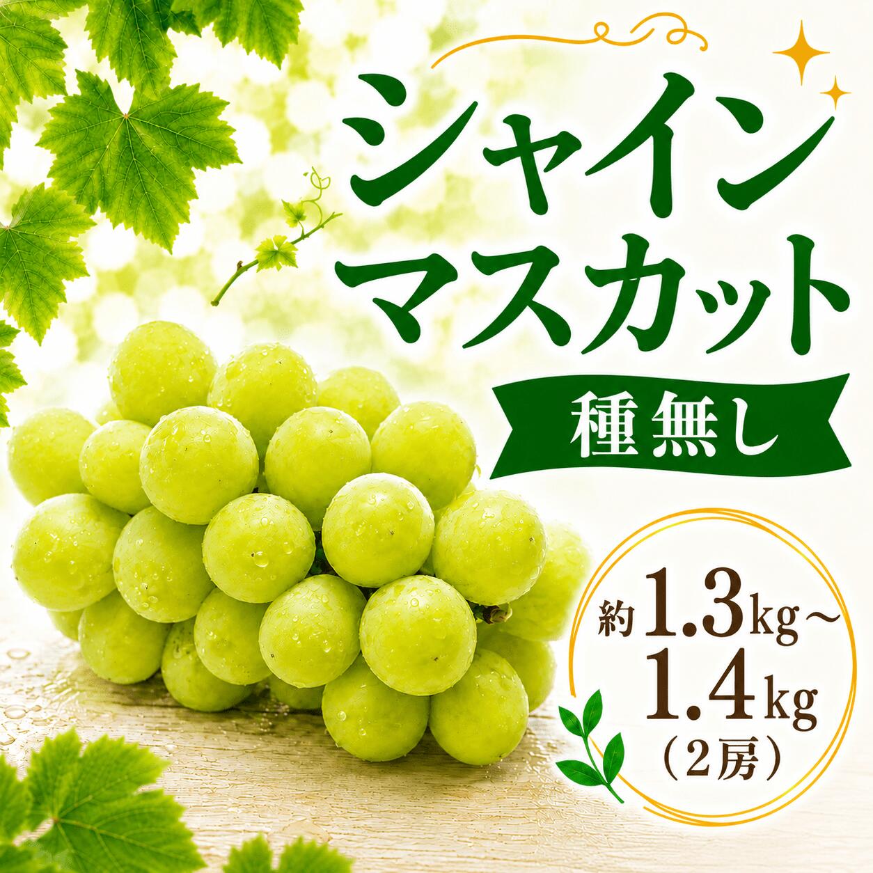 【ふるさと納税】 シャインマスカット 2房 1.3~1.4kg 種無し ぶどう ブドウ 葡萄 フルーツ 果物 旬 甘い 大粒 粒 皮ごと お取り寄せ 化粧箱 ギフト 2026年産 期間限定 贈答用 筑西市 茨城県 関東