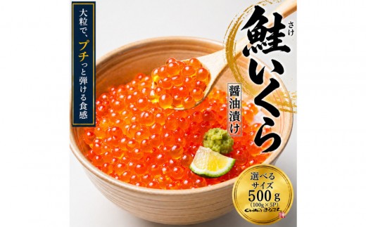 
                  いくら 醤油漬け 500g(100g×5P) アメリカ 鮭の卵 化粧箱入 尾張まるはち | いくら イクラ いくら醤油漬け 鮭卵 醤油漬け 化粧箱入り 贈答用 高級 グルメ 人気 おすすめ 海鮮 魚卵 送料無料
                