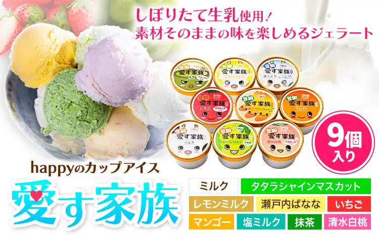 愛す家族 カップアイス 9個入り アイス