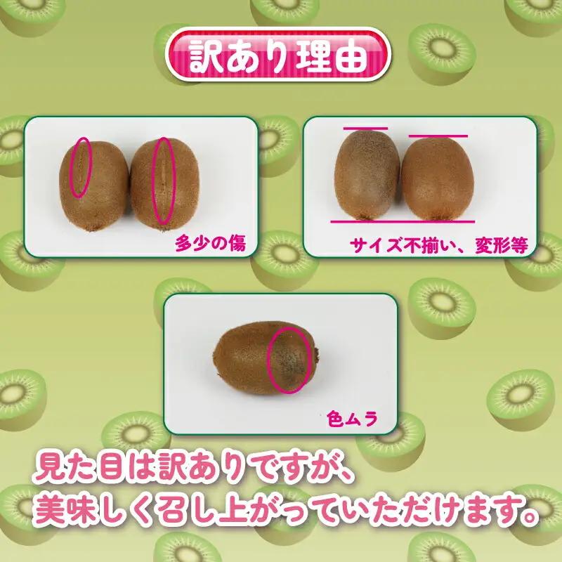 訳あり キウイ フルーツ 約4kg 杉本屋 キウイ F012-143002