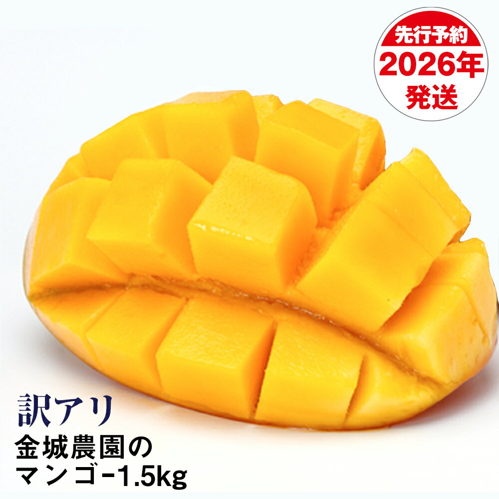 【ふるさと納税】【訳あり】2026年発送　金城農園のマンゴー1.5kg